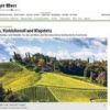 Herbst in der Steiermark: Wein, Reines Kürbiskernöl und Klapotetz