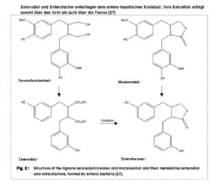 Screenshot Pharmakologische Wirkung von Kürbiskernen und Kürbiskernöl