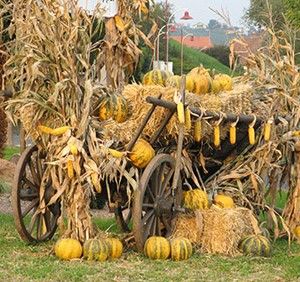 Tradition in Österreich